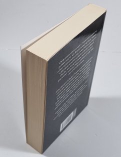 Vespasián 4 - Padlý římský orel (brož)