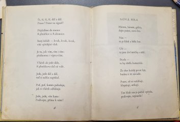 Všelijaká zvířata pro kluky i děvčata