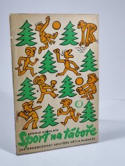 Sport na táboře - 