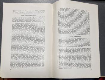 Morava ve stínu swastiky