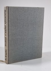 Tvoření v uměním výtvarném - 