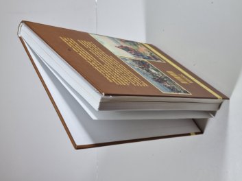 Pohledy do českých dějin