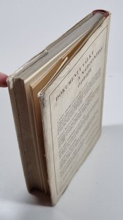 V německém zajetí