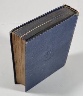 Legionářská epopeja IV. - Mohutný sen