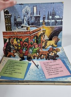 Jak se lev zatoulal (prostorové obrázky)