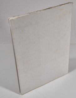 Václav Boštík - o sobě a o umění