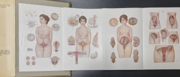 Přírodní léčba a domácí lékař  I. + II. díl