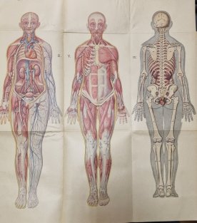 Přírodní léčba a domácí lékař  I. + II. díl