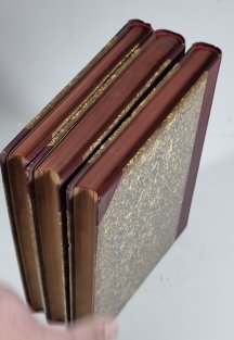 Dějiny Ruska / Dějiny ruské revoluce 1917 / Dějiny občanské války v Rusku 1917-1921