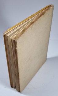 Evička v zemi divů