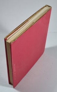 Z kulturních zápasů