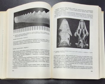 Paleontologie obratlovců