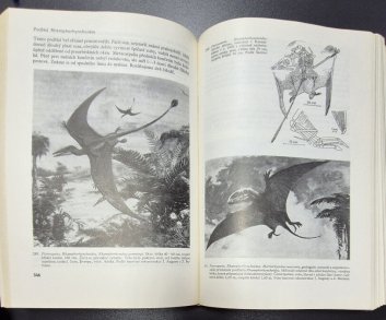 Paleontologie obratlovců