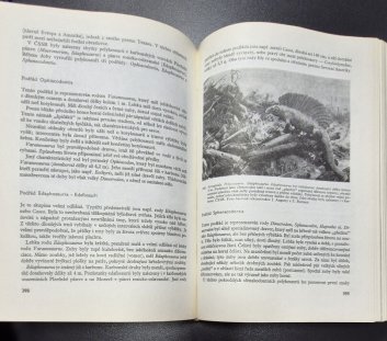 Paleontologie obratlovců