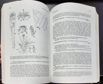 Flora Neotropica Monograph No. 14, Part 3 - Bromelioideae