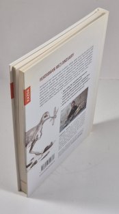 Dinosauři - Rekordy a zajímavosti