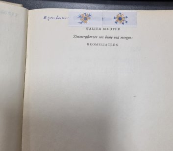 Zimmerpflanzen von heute und morgen: Bromeliaceen