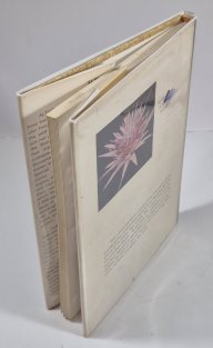 Bromeliads in Color and Their Culture