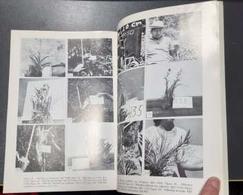 Bromeliacaea of Ecuador