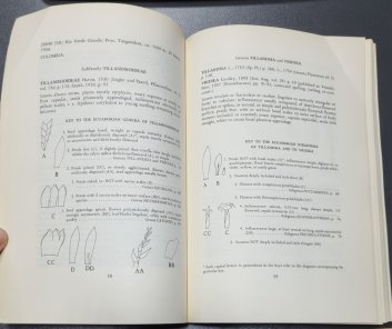 Bromeliacaea of Ecuador