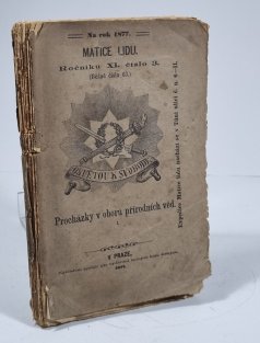 Matice lidu 3/1877 - Procházky v oboru přírodních věd I.