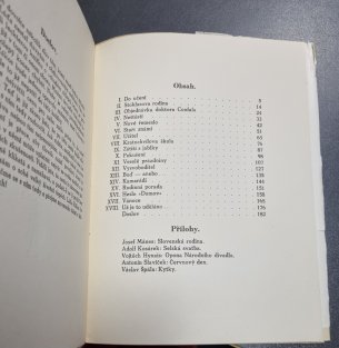 Malíř Láďa Rákos