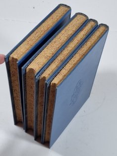 Hlas krve - Duch v žaláři I.-IV.