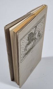 Utrpení mladého Werthera