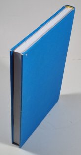 Born to Run - Zrozeni k běhu