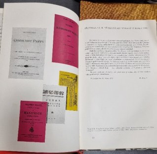 Manifest komunistické strany