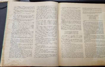 Šťastný Greenhorn