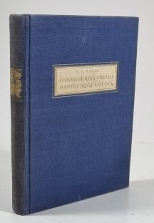 Pozoruhodný případ Davidsonových očí