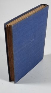 Pozoruhodný případ Davidsonových očí