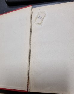 Hoši na předměstí