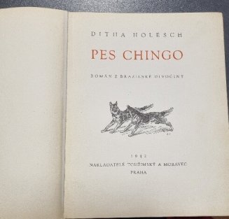 Pes Chingo