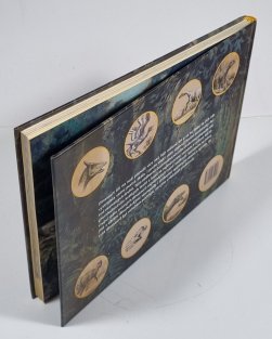 Neznámí dinosauři