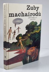 Zuby machairodů - 