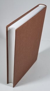 Trampoty páně Thompsonovy