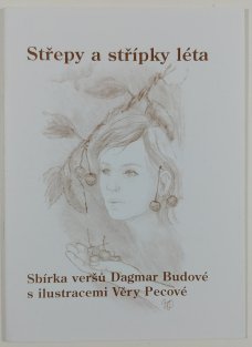 Střepy a střípky léta