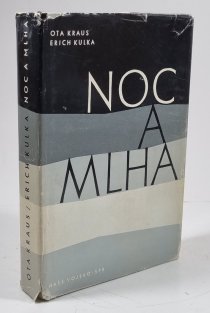 Noc a mlha