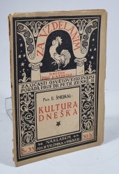 Kultura dneška - 