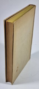 Karel Hynek Mácha - Osobnost, dílo, ohlas