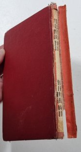 Sbírka výborných domácích prostředků proti většině lidských nemocí a popis léčivých bylin