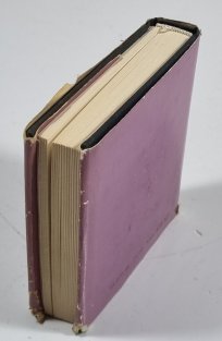 Utrpení mladého Werthera