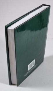 Pán prstenů II - Dvě věže