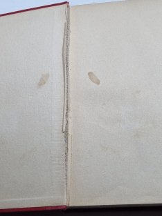 Povídky o medvědech a vlcích