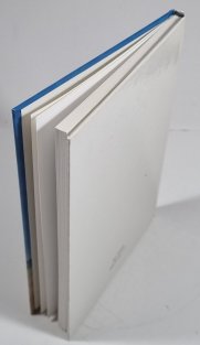 Zorro mstitel - Černý jezdec