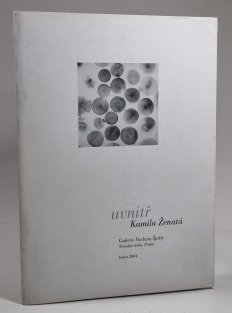 Uvnitř - Kamila Ženatá