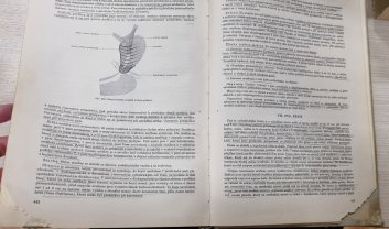 Soustavná anatomie člověka I.+II.