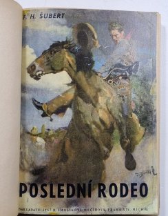 Poslední rodeo